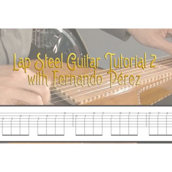 Lap Steel Guitar Tutorial 2
